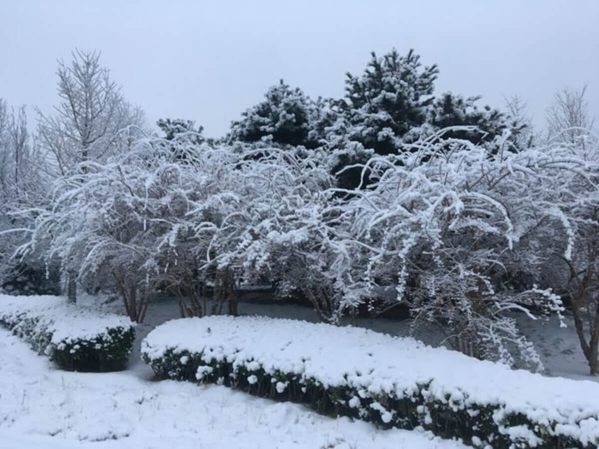 Cold spell in Beijing