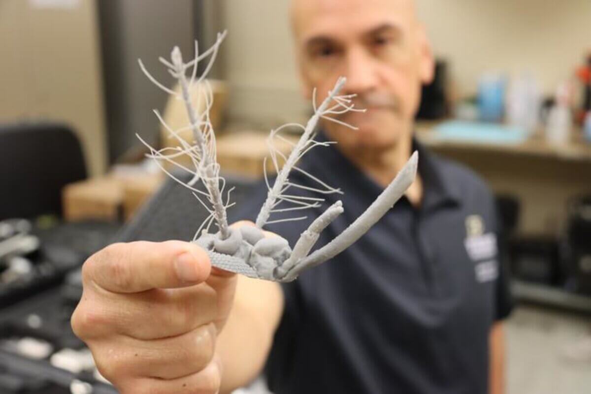 Mosquito antennae model