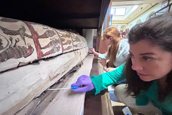 Researchers taking swab samples for the purpose of microbiological analysis