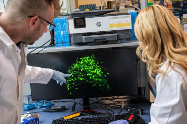 UBC associate professor of cellular and physiological sciences Dr. Mark Cembrowski (left) and PhD student Adrienne Kinman observe ovoid cells active in the hippocampus of a mouse.
