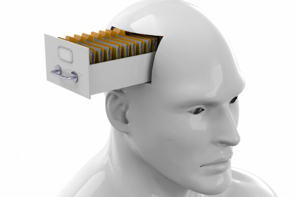 A file cabinet in the brain.