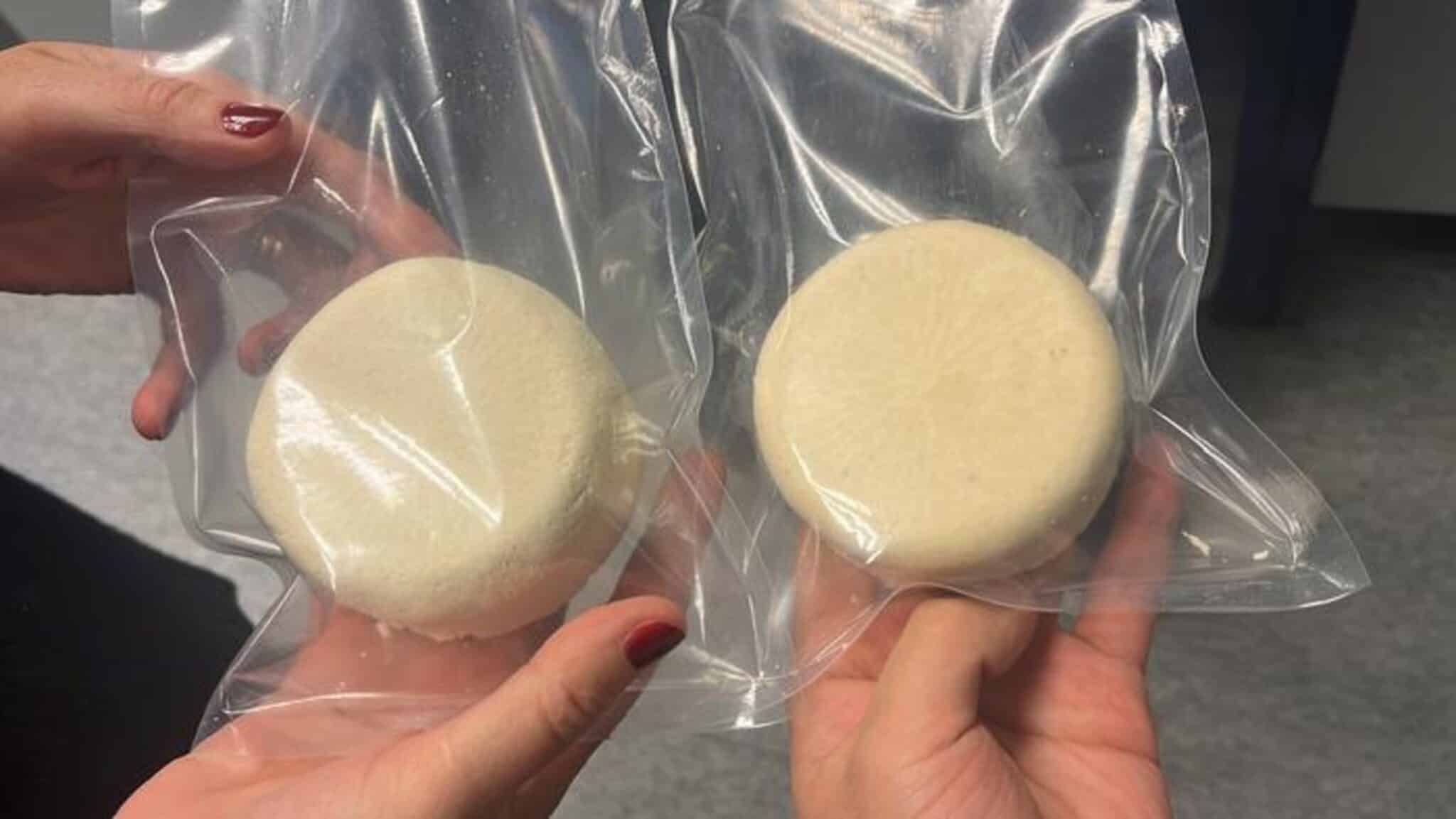 Hybrid Cheese: Blending Dairy and Plant Proteins