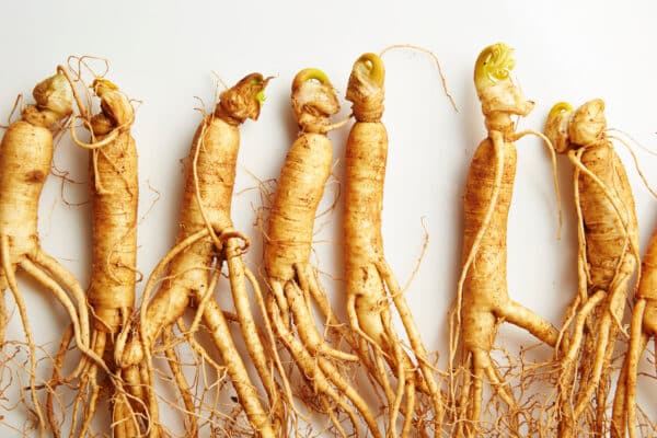 Ginseng roots