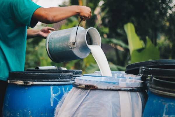 Farmer pouring raw milk from dairy farm into container for selling to industries or market
