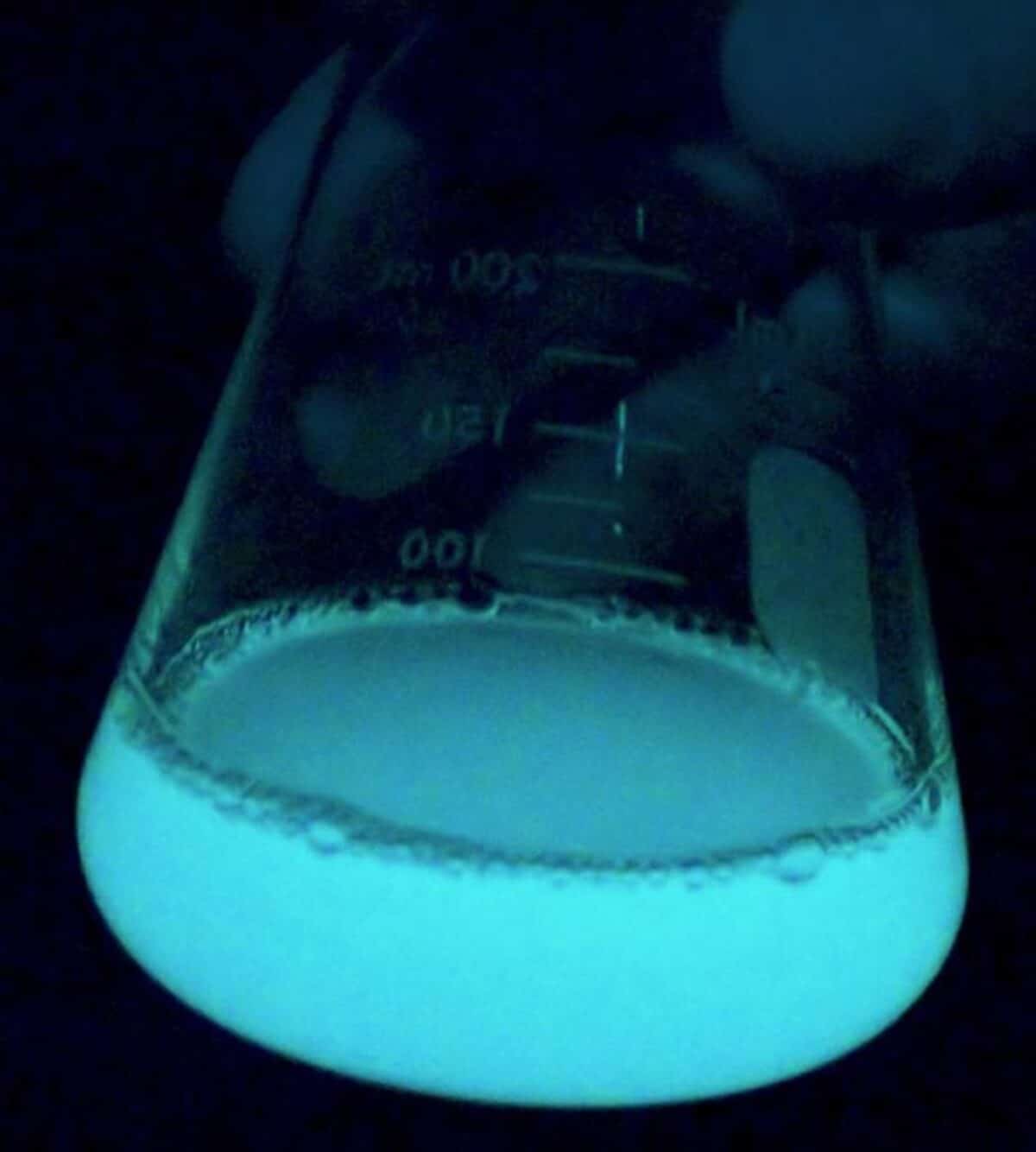 Bioluminescence