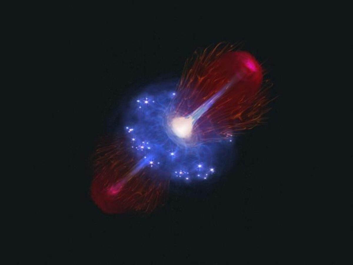 Early universe black hole