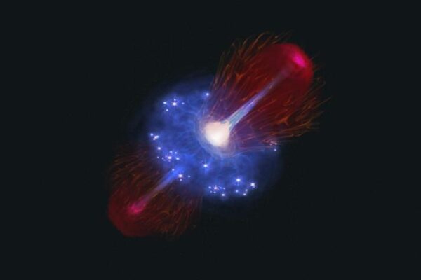 Early universe black hole