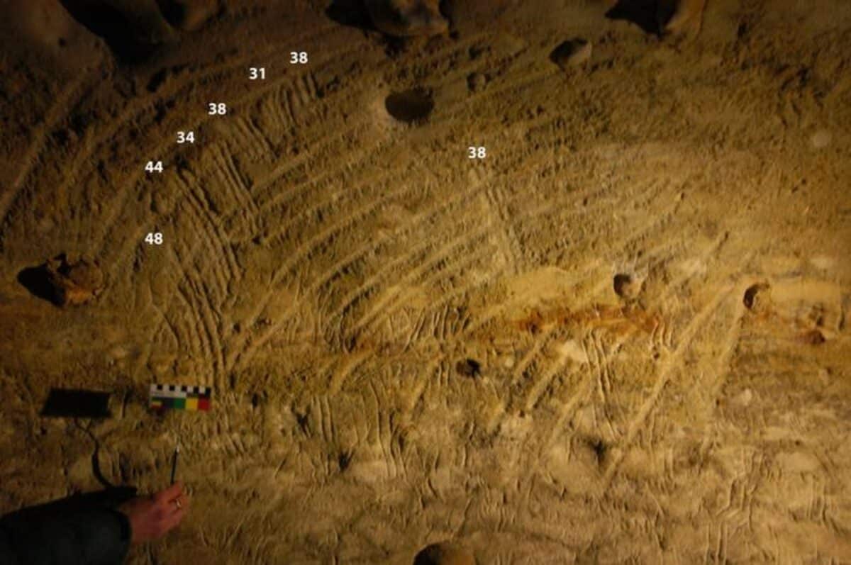 Cave evidence of children