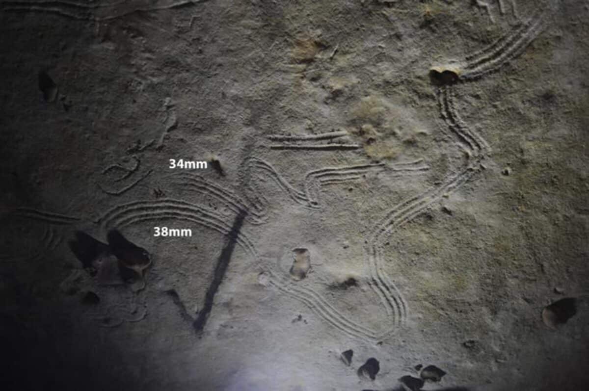 Cave finger paintings