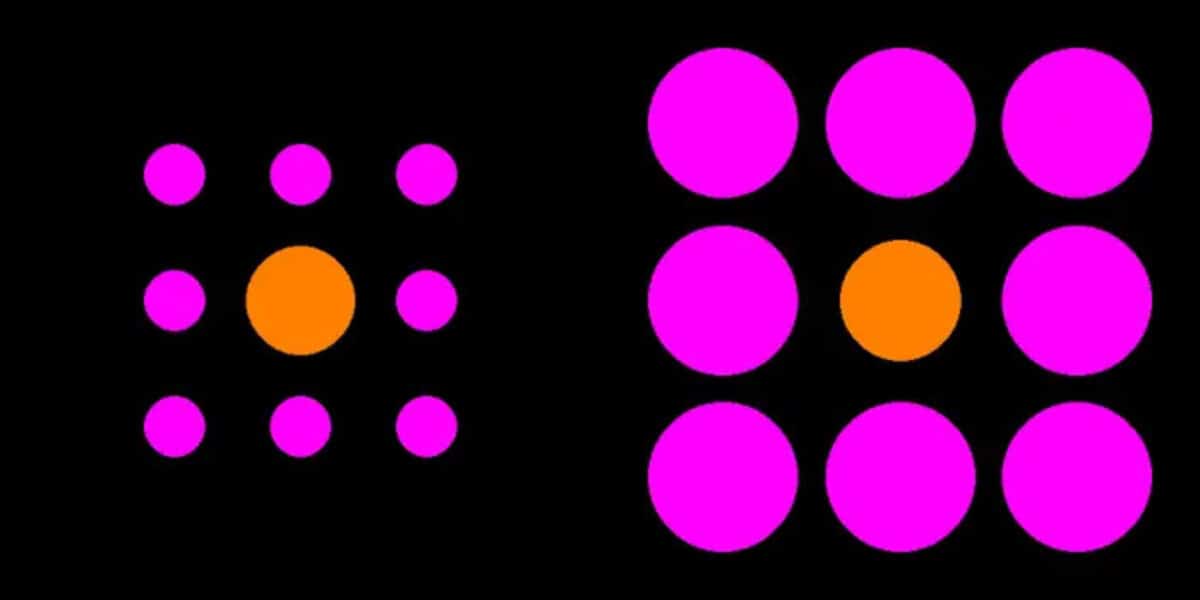 Ebbinghaus illusion