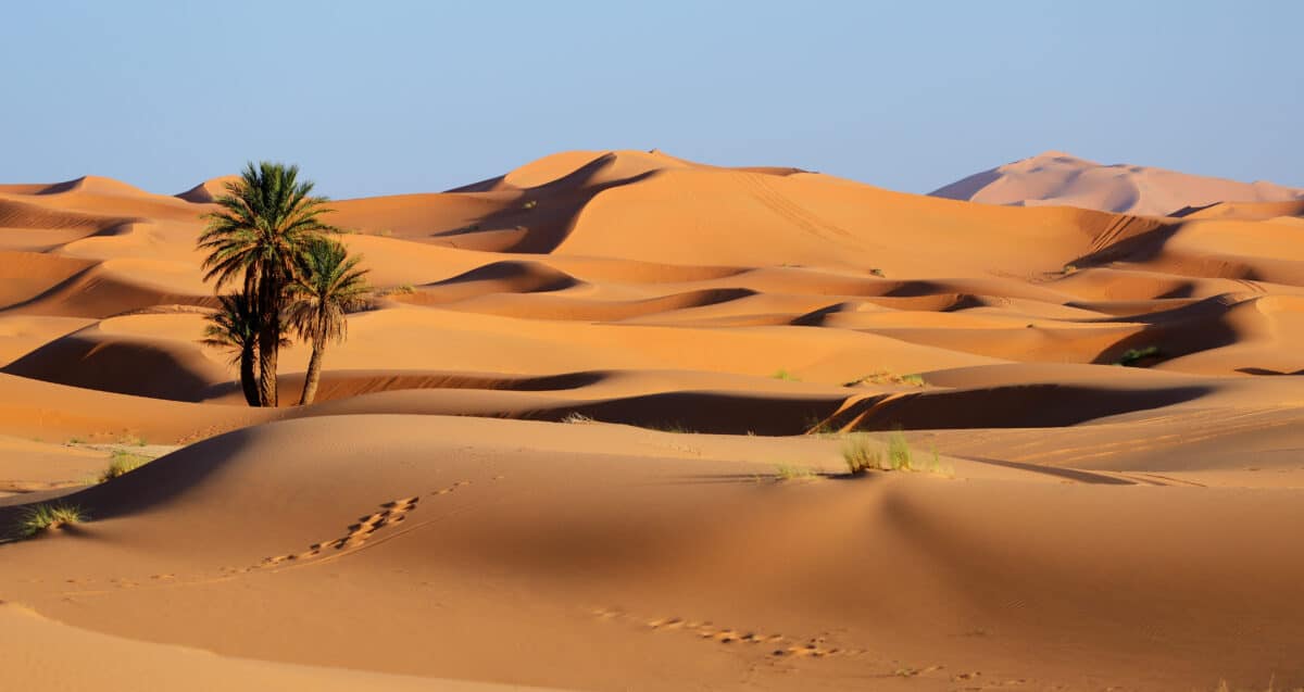 Sand dunes of Sahara desert