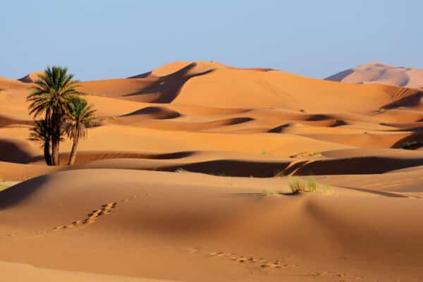 Sand dunes of Sahara desert in Morocco.