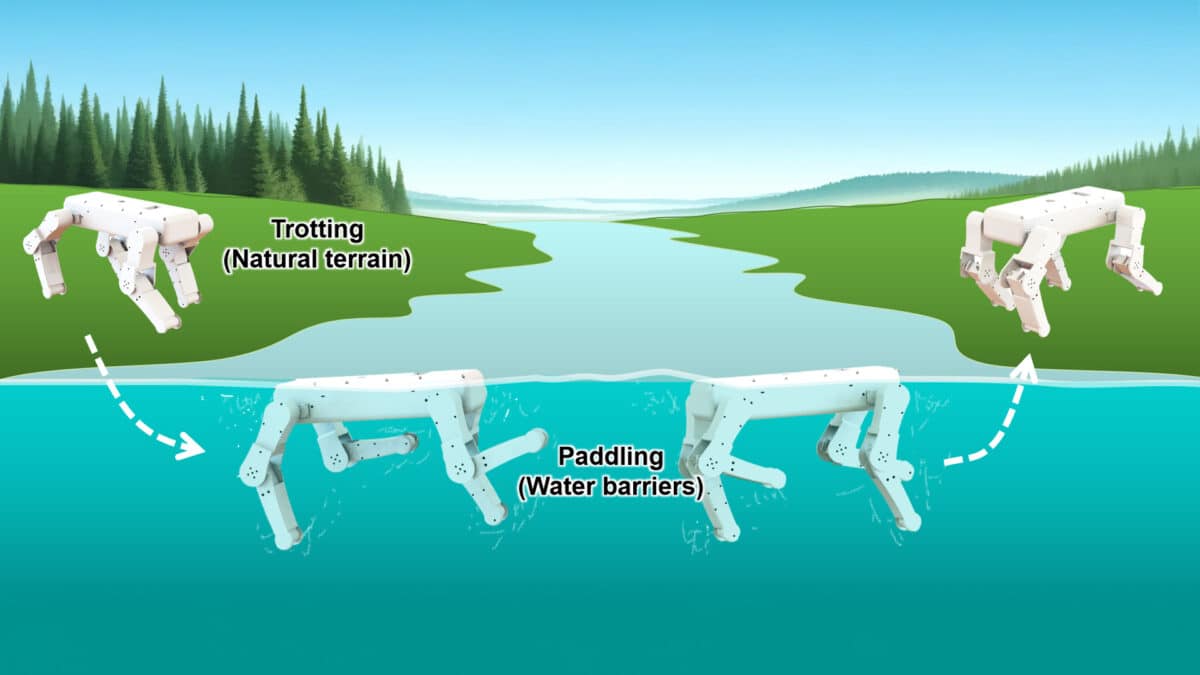 Robotic dog swimming