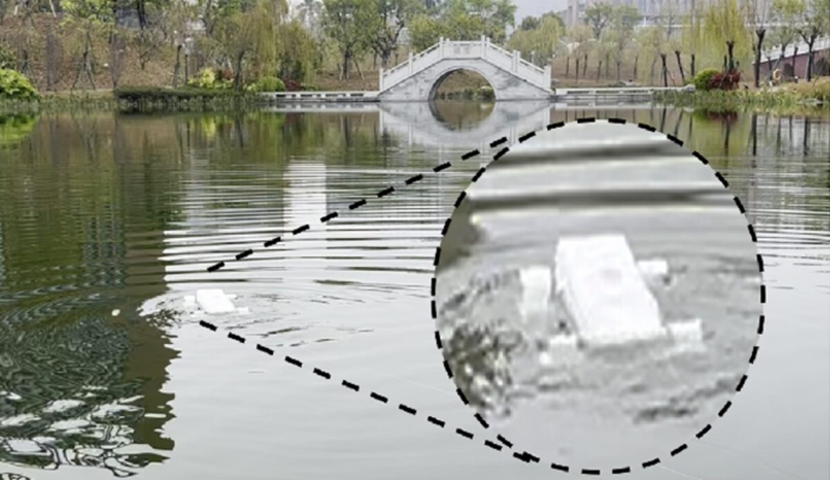 Robot dog swimming in a a lake