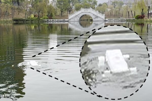 Robot dog swimming in a a lake