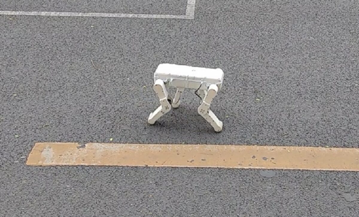 Robotic dog walking