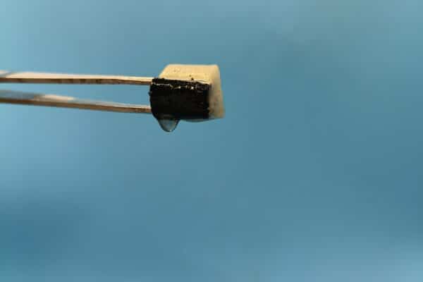 A pair of tweezers squeezes water from the spongy material developed by the team