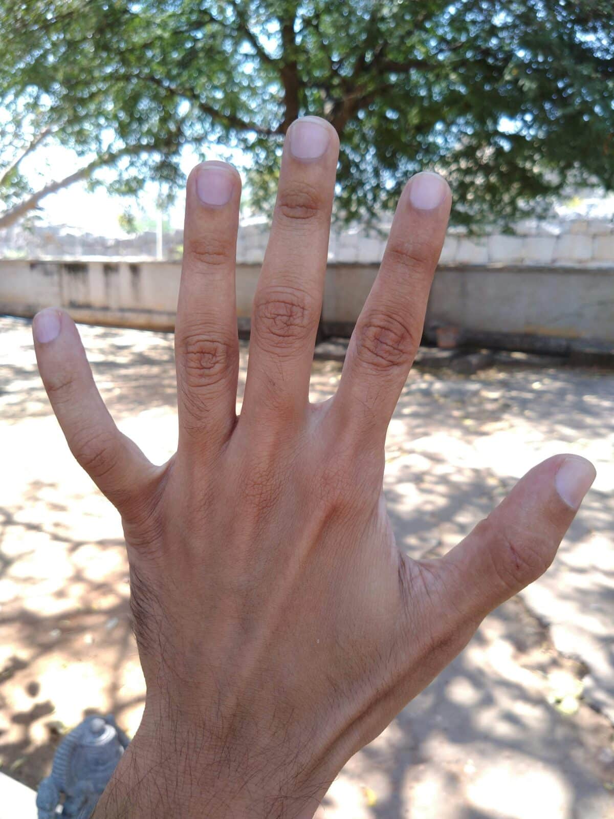 Photo of someone's hand