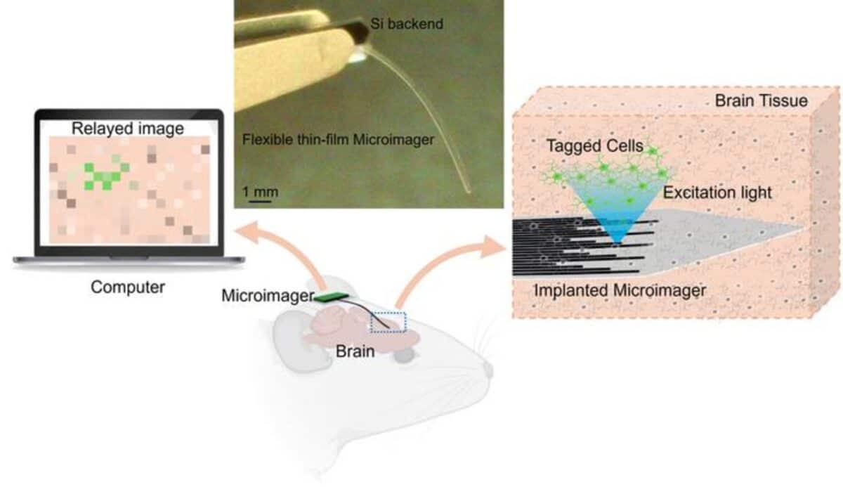Microimager