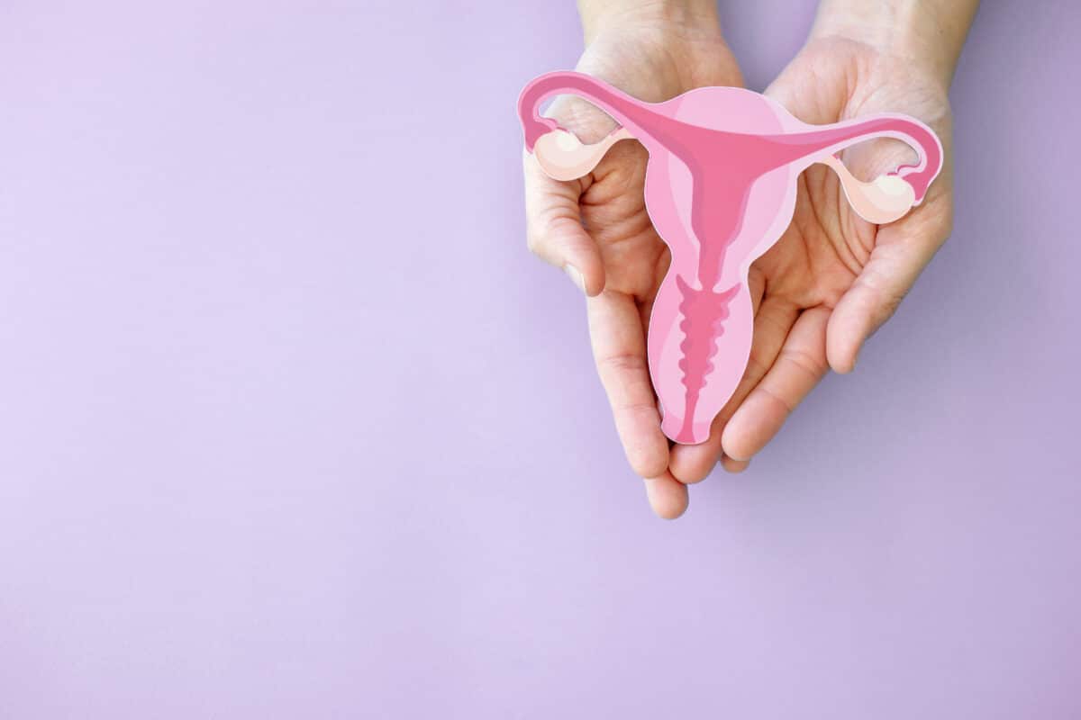 Female reproductive system