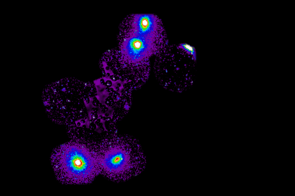 This image shows the new filament, which connects four galaxy clusters: two on one end, two on the other