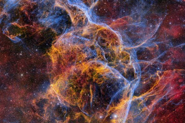 The Vela supernova remnant