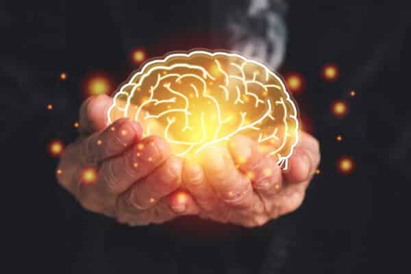 Aging brain: Older, elderly hands hold a brain