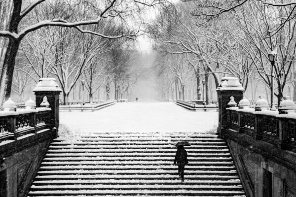 Central Park - New York City during a winter snowstorm