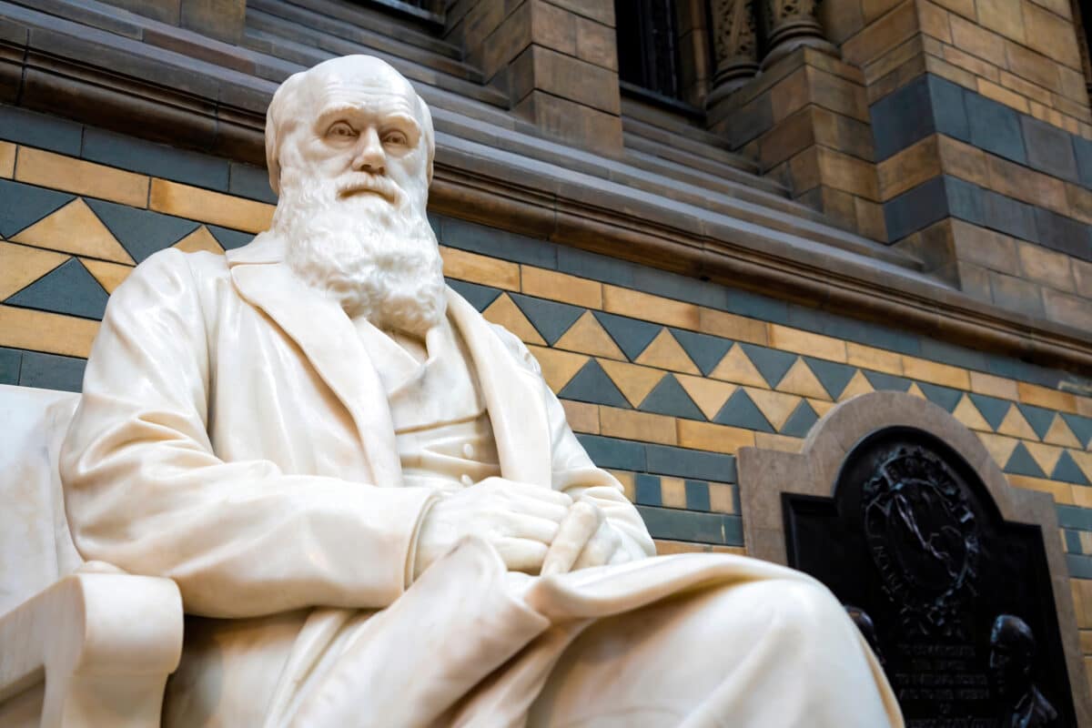 Charles Darwin statue