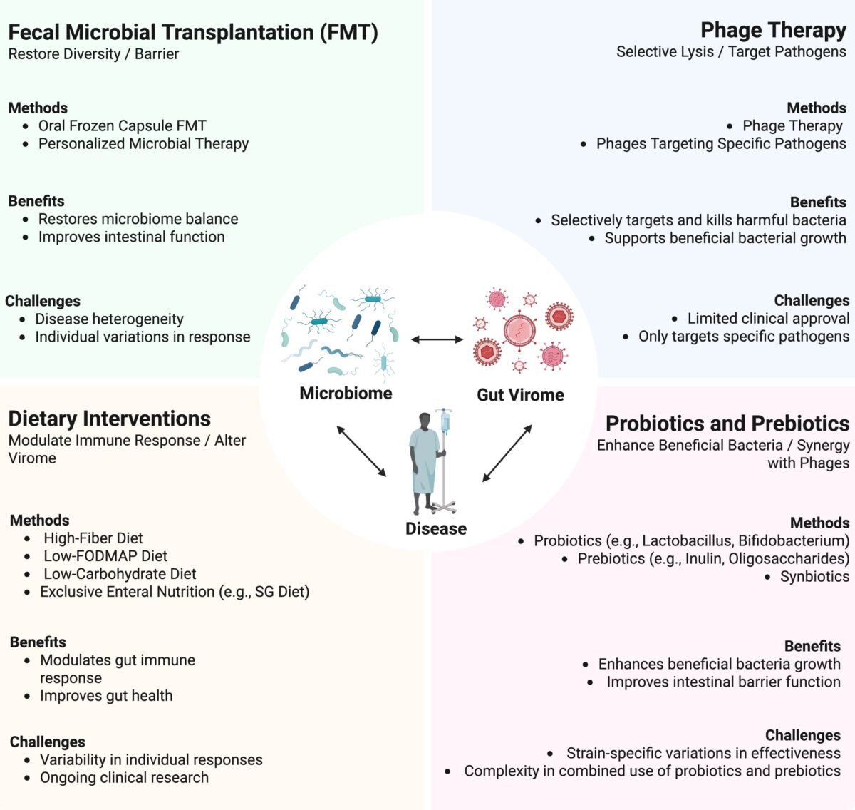 Infographic illustrates four major therapeutic approaches to gut health