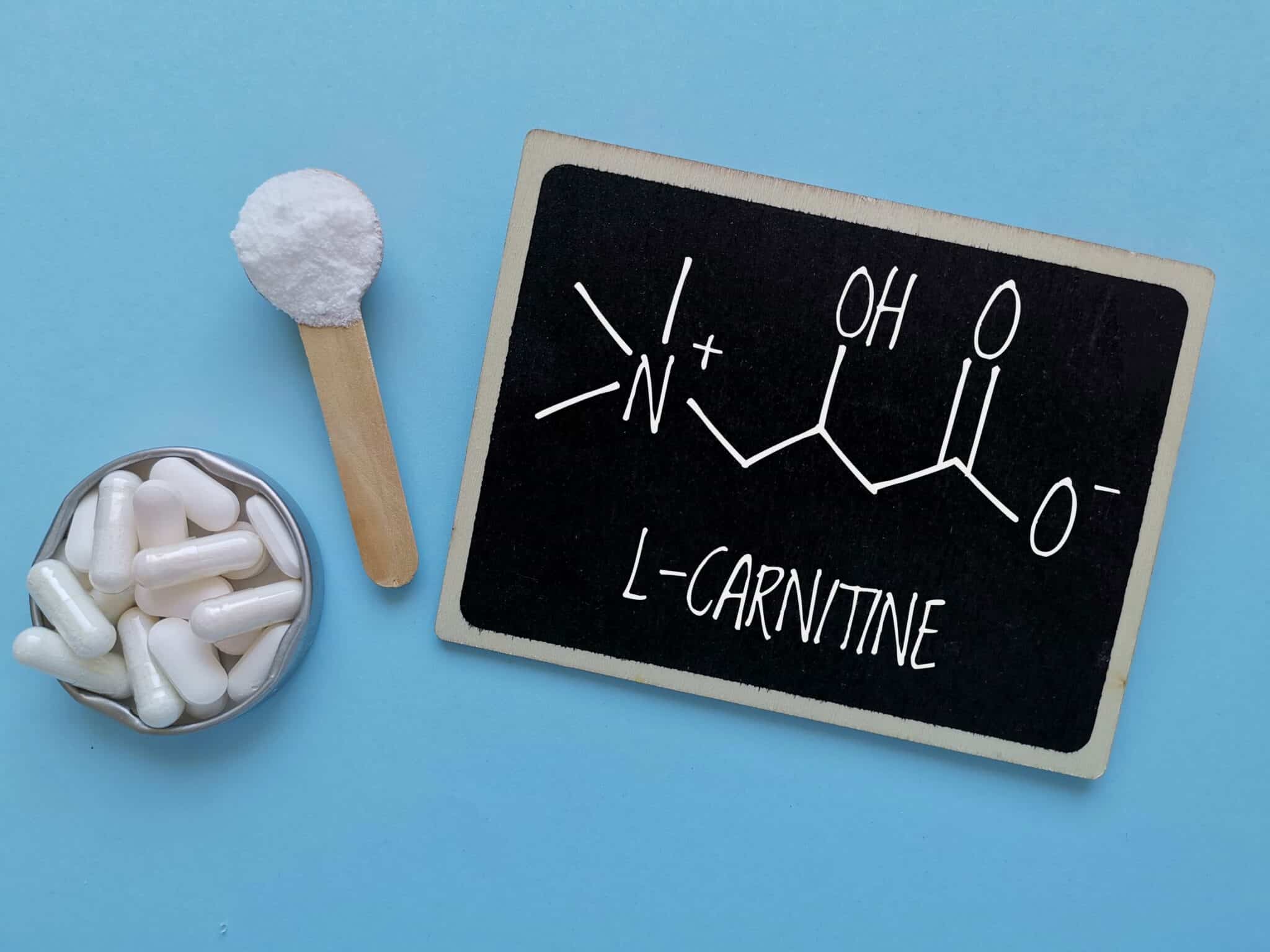 l carnitine for covid BulkSupplements L-Carnitine Fumarate Powder, 500mg Ecuador