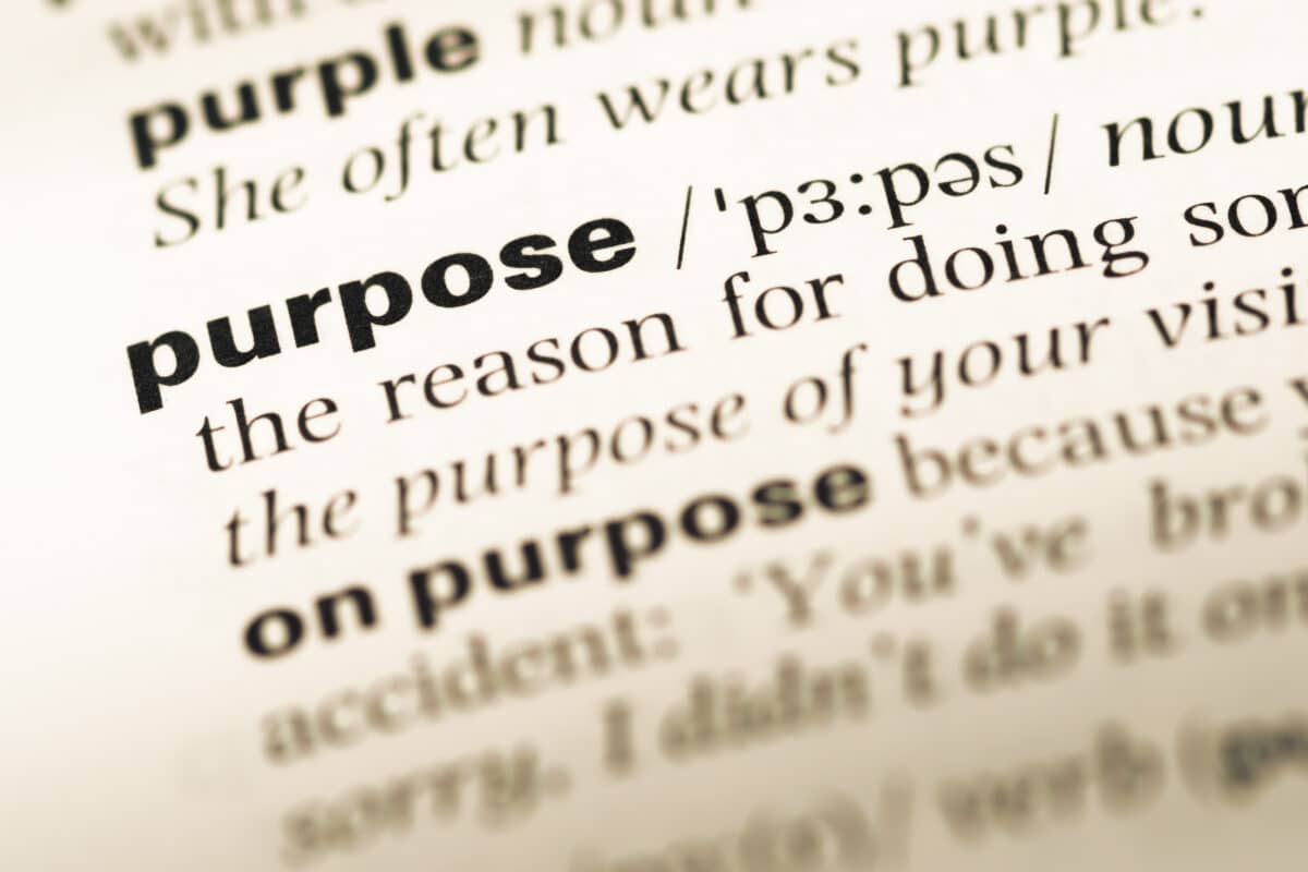 Purpose in the dictionary
