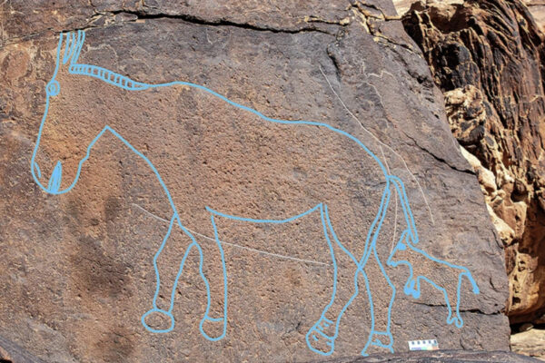 Art depicts a horse-like animal with its young, both drawn in the later cartoon style.