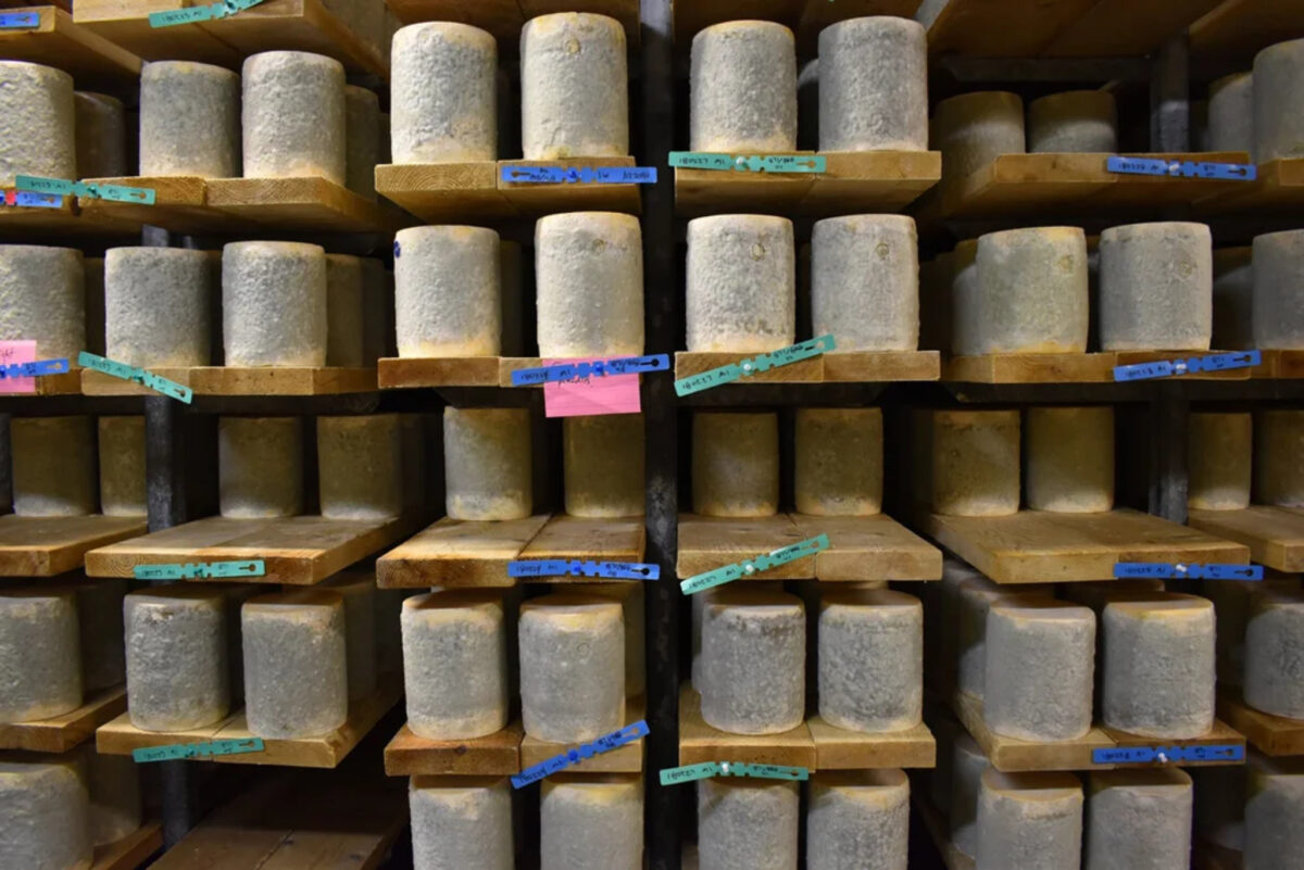 Bayley Hazen Blue Cheese
