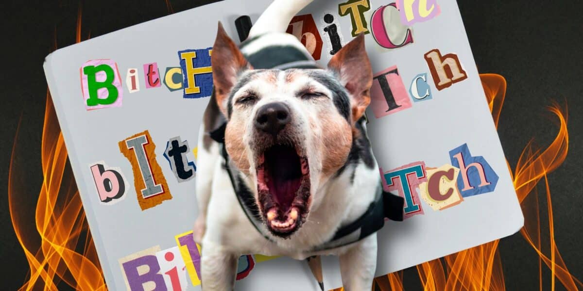 Bitch collage