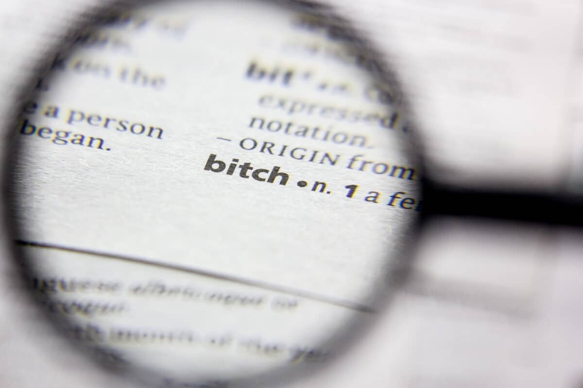 Bitch in dictionary