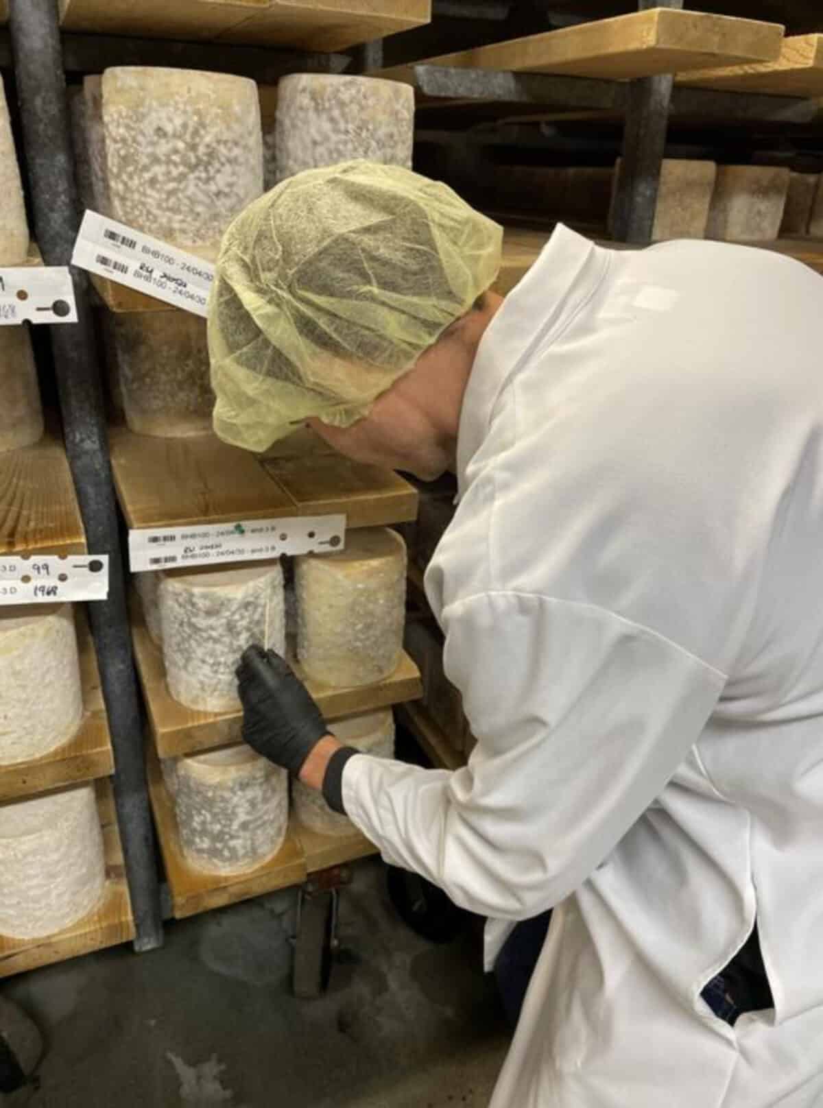 Nicolas Louw sampling Bayley Hazen Blue cheese from a cheese cave in Vermont's Jasper Hill Farm.
