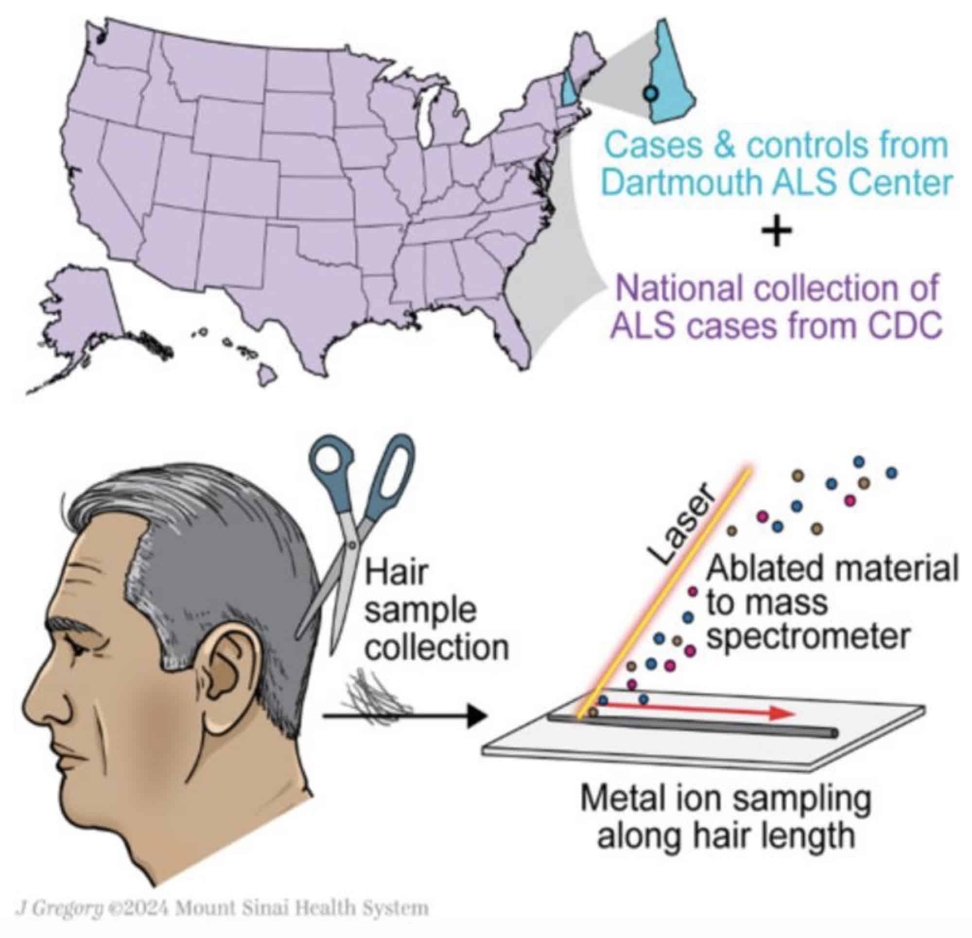 Hair strand sample for ALS study