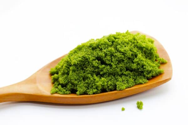 Wolffia globosa, also called Mankai duckweed or swamp algae.