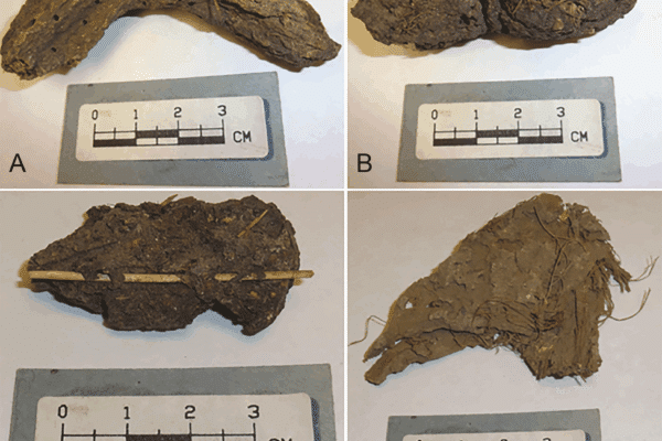 Desiccated fecal material from the Cave of the Dead Children.