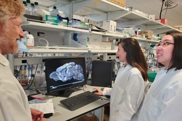 Allen Institute researchers Boaz Levi, Ph.D., associate investigator; Meagan Quinlan, Ph.D., scientist; Rong Guo, Ph.D., scientist. (