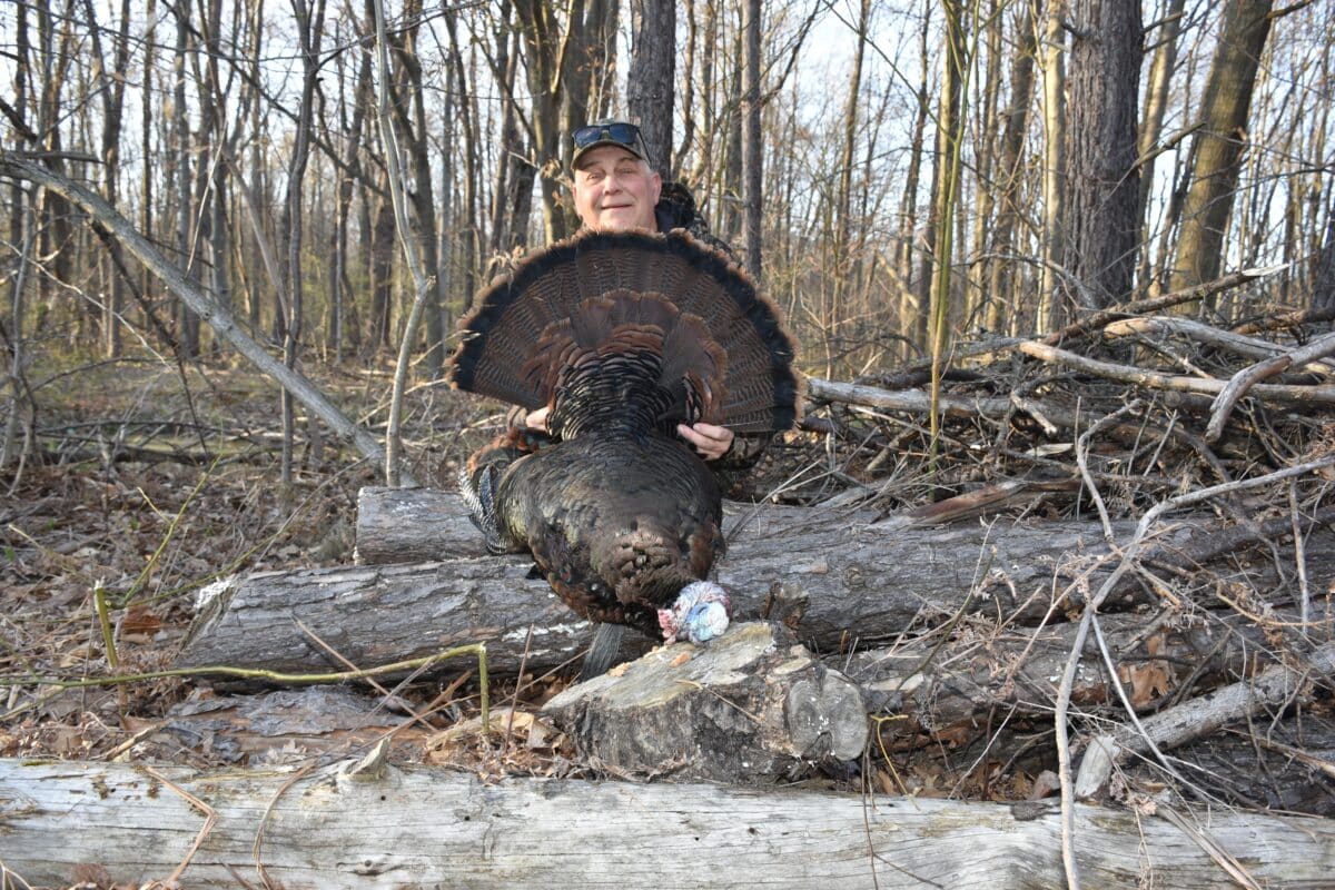 A hunter with a turkey gobbler