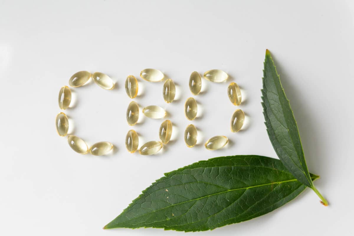 CBD tends to calm dysfunctional brain circuits, yet leaves healthy neural activity alone.