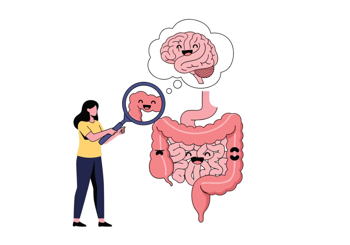 What happens in the stomach can indeed impact the brain, but the specific connection between gut health and autism appears dubious at best.