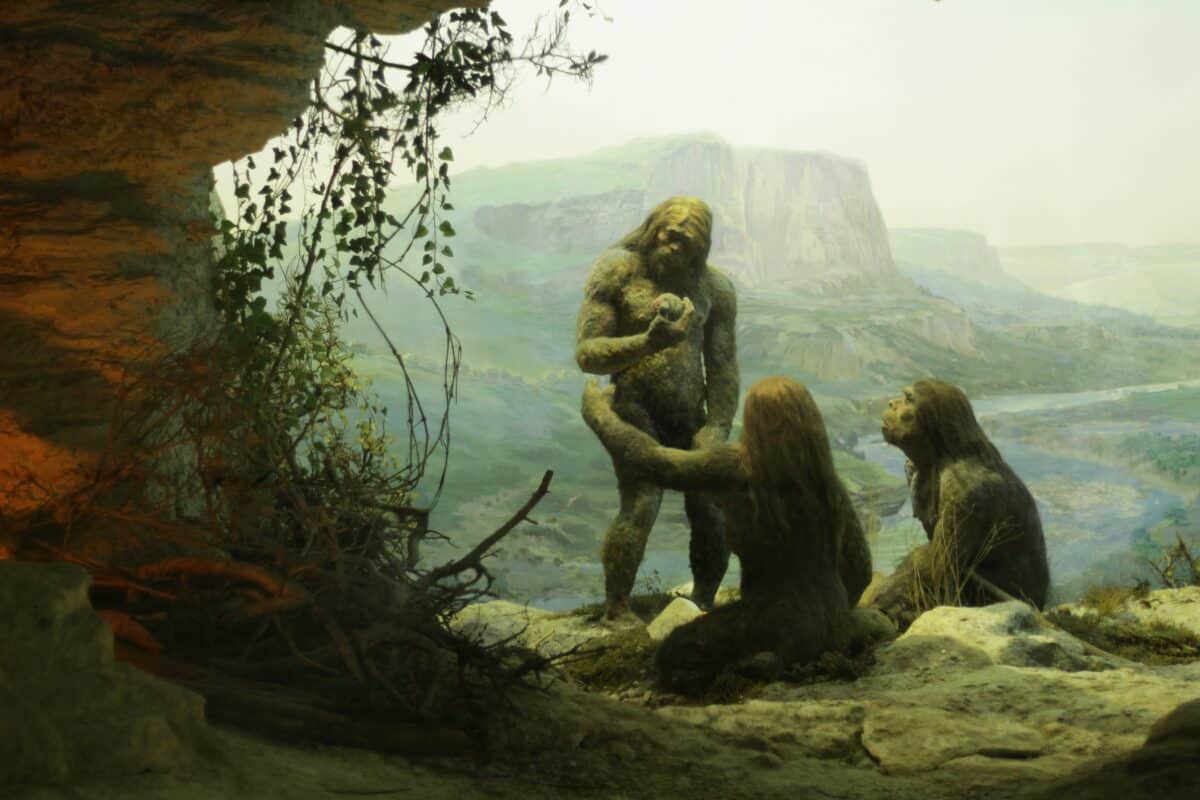 Primal,Tribe,Of,Ancient,Wild,People,Animal,Skin,And,Stone