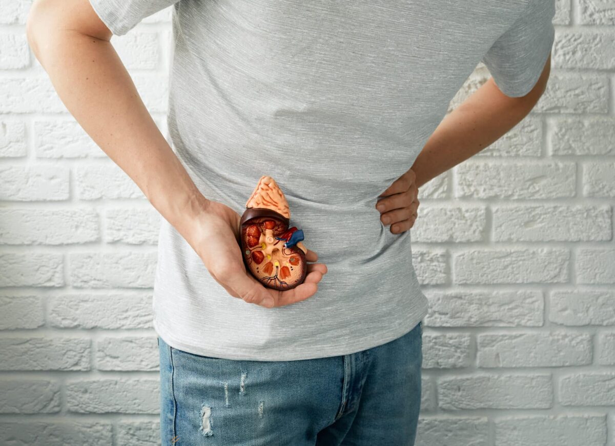 Just 3% of end-stage kidney disease patients currently receive transplants annually.