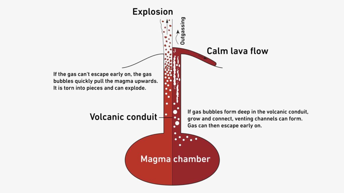 (Graphic: Roche O et al. Nature 2025, edited)