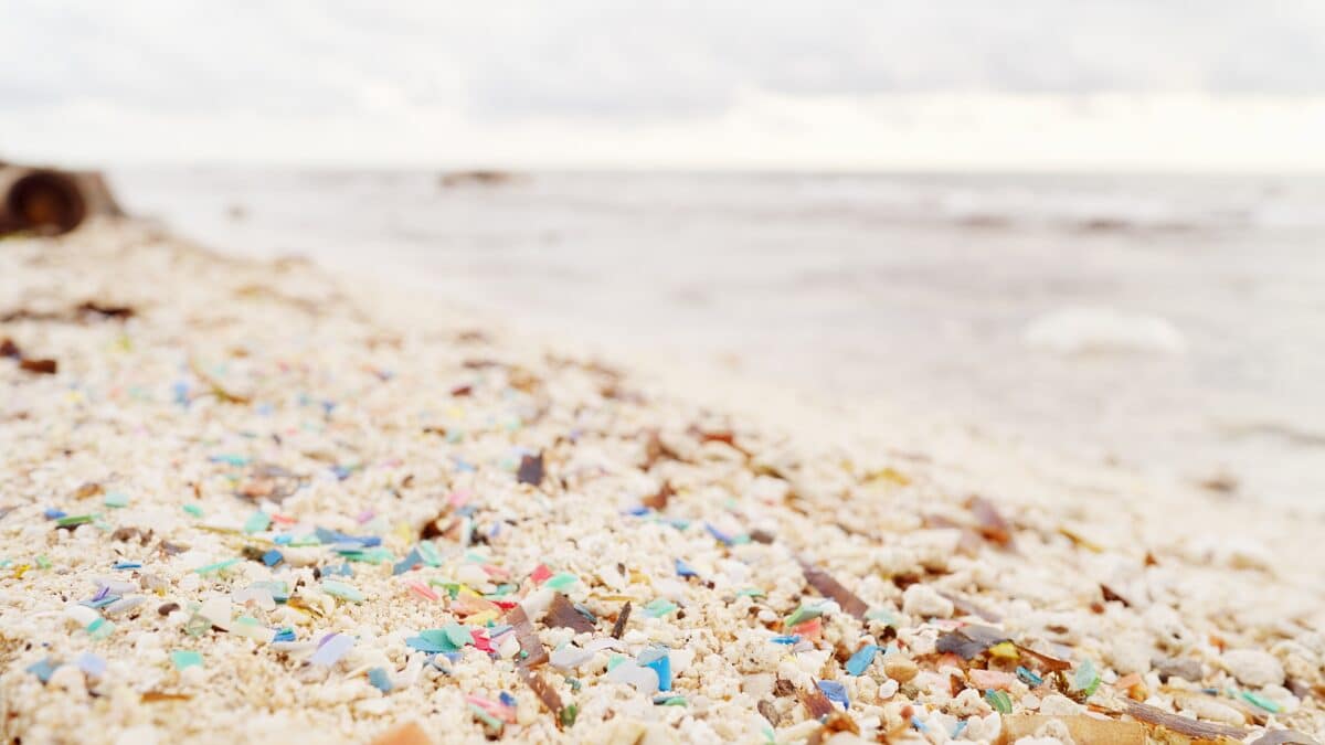The system broke down close to 40% of plastics present in seawater.
