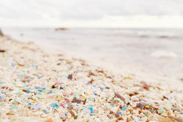 The system broke down close to 40% of plastics present in seawater.