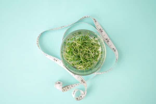 Credit: Natazanchik on Shutterstock